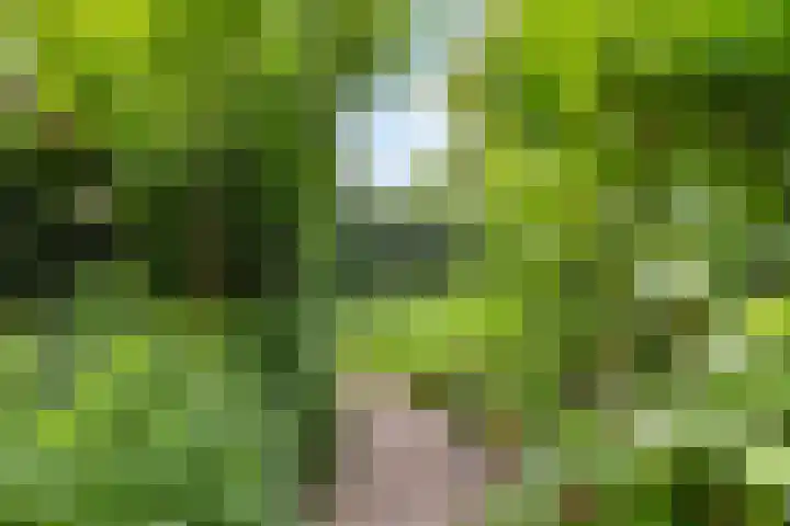 Trompstraat 7 A Aalten thumbnail 39