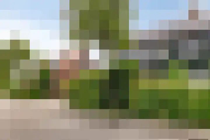 Trompstraat 7 A Aalten thumbnail 43