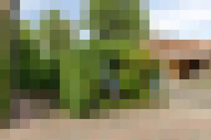 Trompstraat 7 A Aalten thumbnail 44