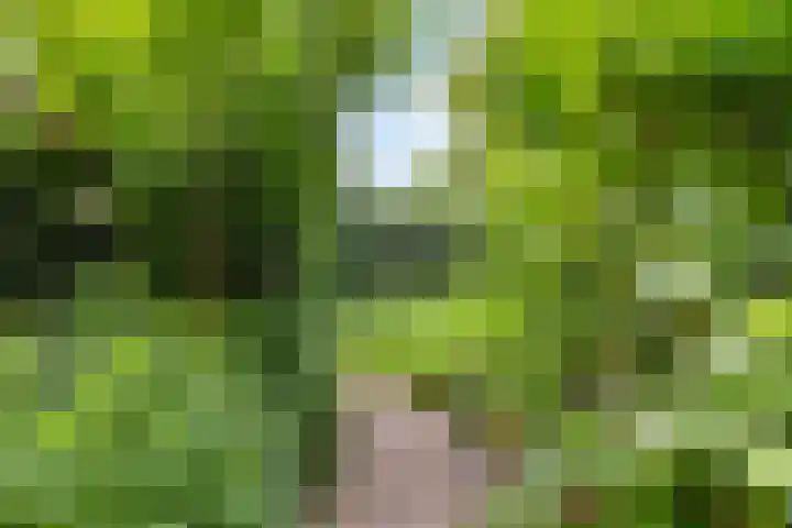 Trompstraat 7 A Aalten thumbnail 5