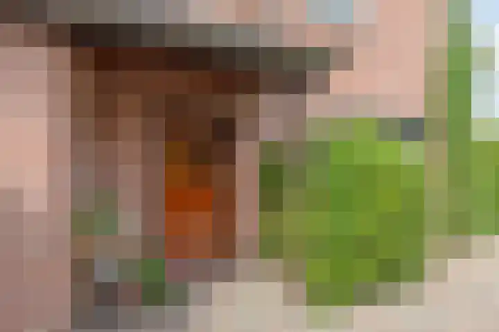 Trompstraat 7 A Aalten thumbnail 6