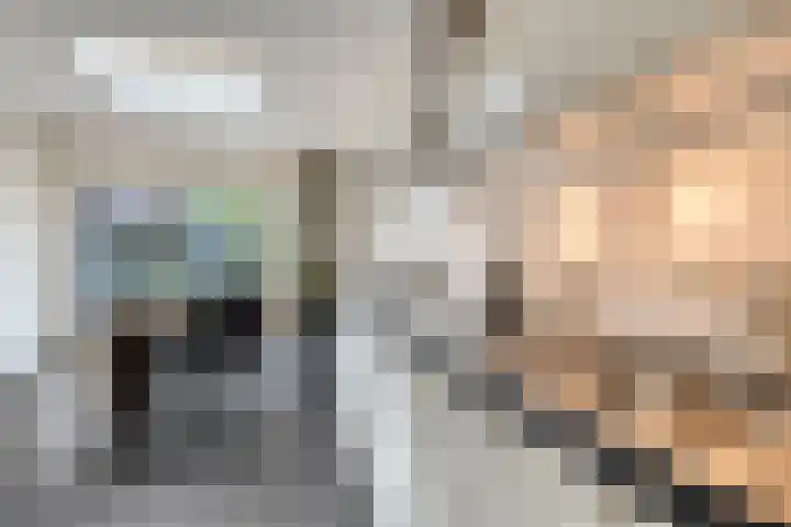 Trompstraat 7 A Aalten thumbnail 9
