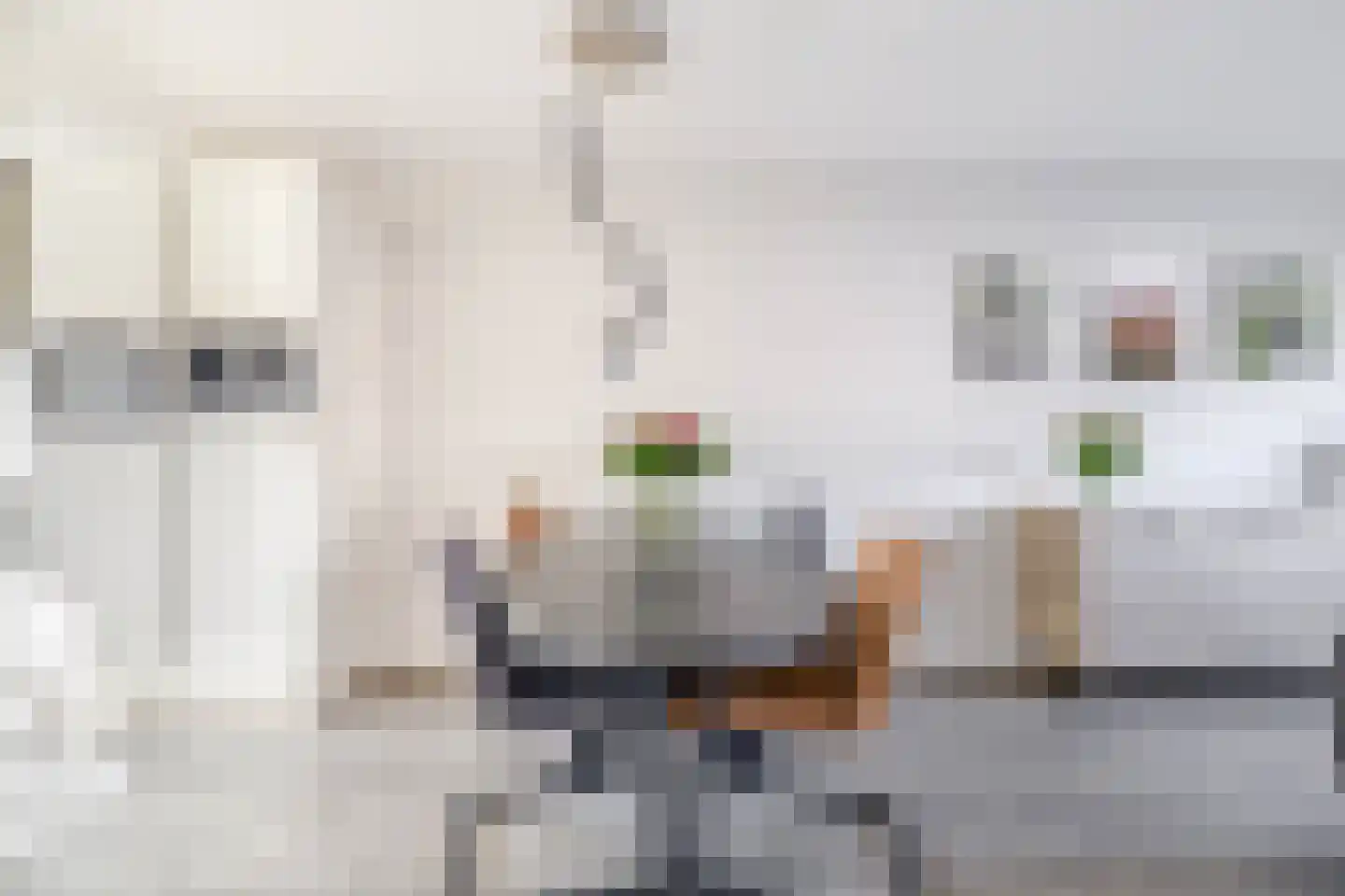 Trompstraat 7 Lisse thumbnail 13