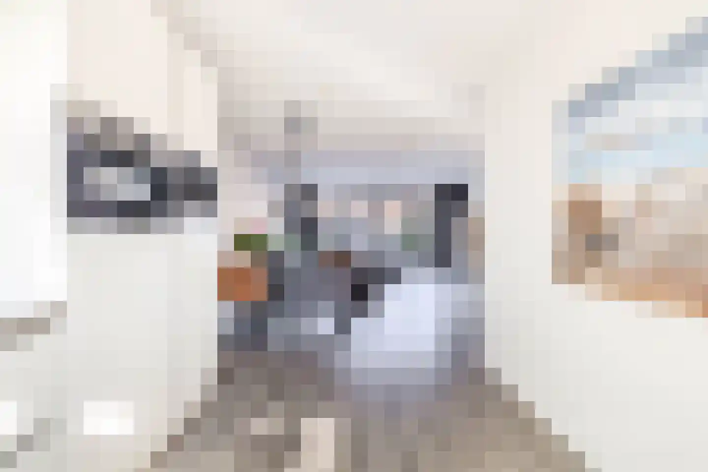 Trompstraat 7 Lisse thumbnail 17