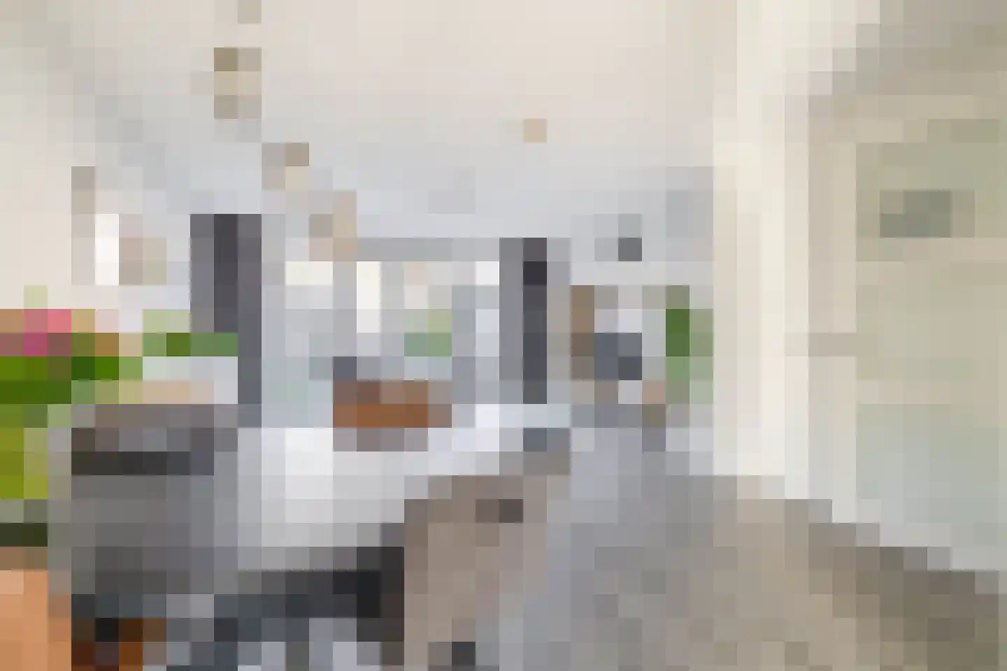 Trompstraat 7 Lisse thumbnail 18