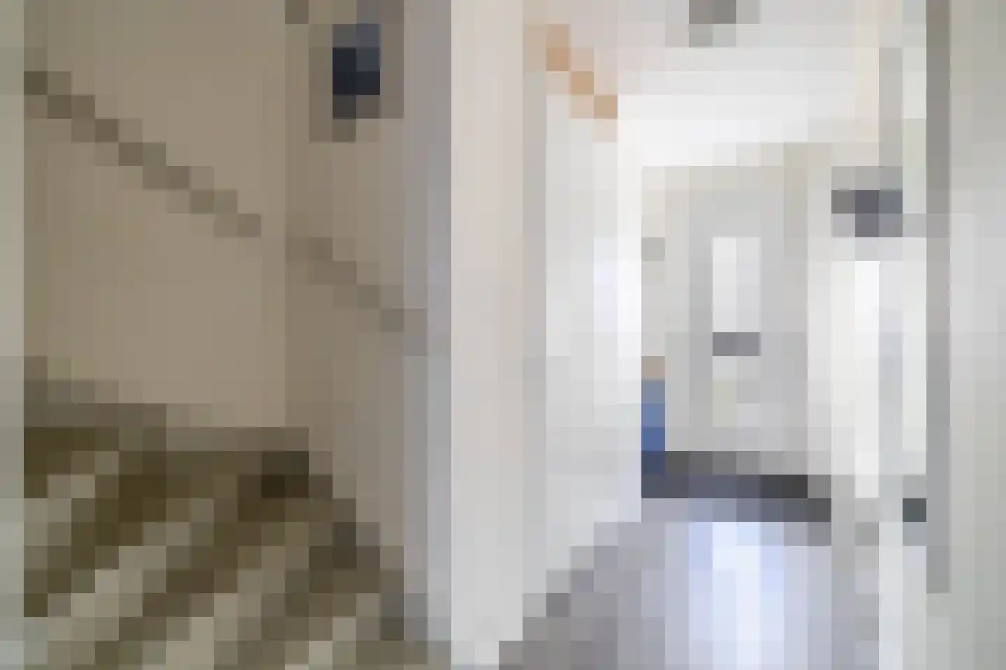 Trompstraat 7 Lisse thumbnail 6