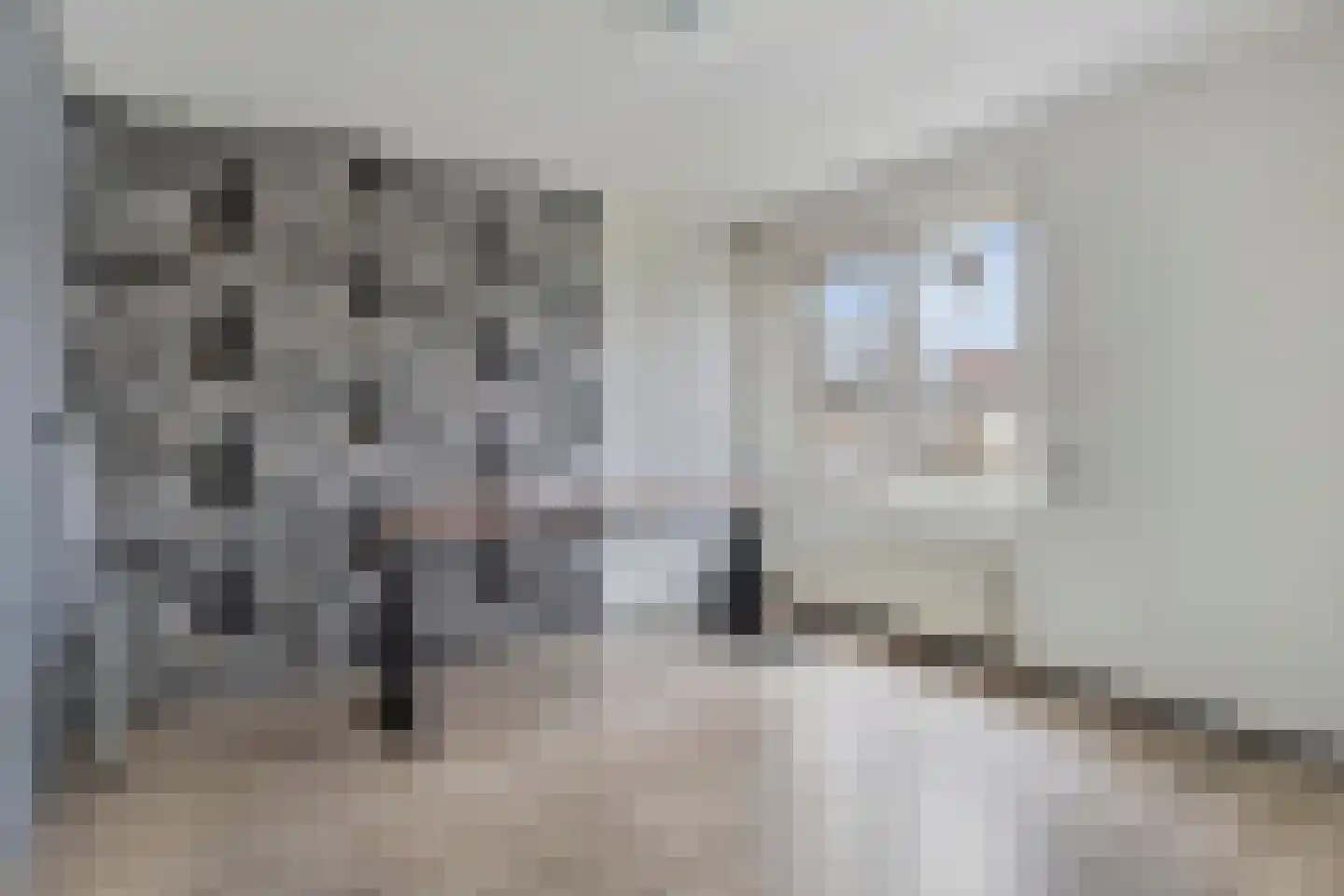 Trompstraat 7 Terneuzen thumbnail 22