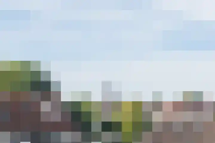 Trompstraat 70 Amersfoort thumbnail 29