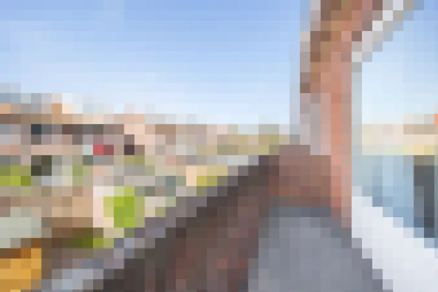 Trompstraat 72 Leidschendam thumbnail 23