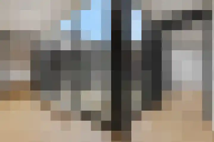 Trompstraat 75 Oss thumbnail 6