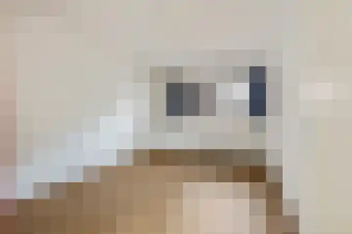 Trompstraat 75 Oss thumbnail 9