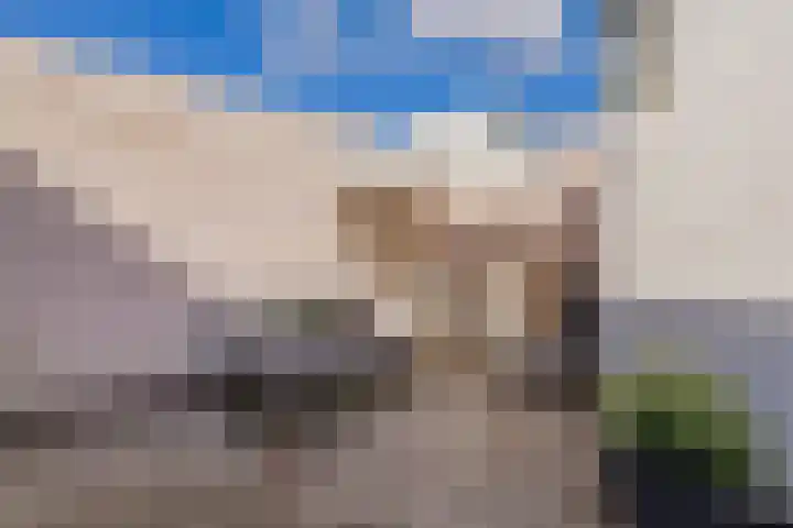 Trompstraat 78 IJmuiden thumbnail 4
