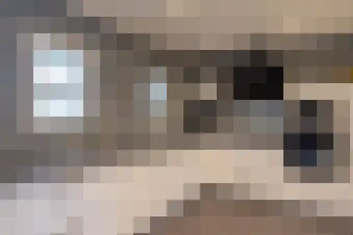 Trompstraat 8 Aalten thumbnail 6