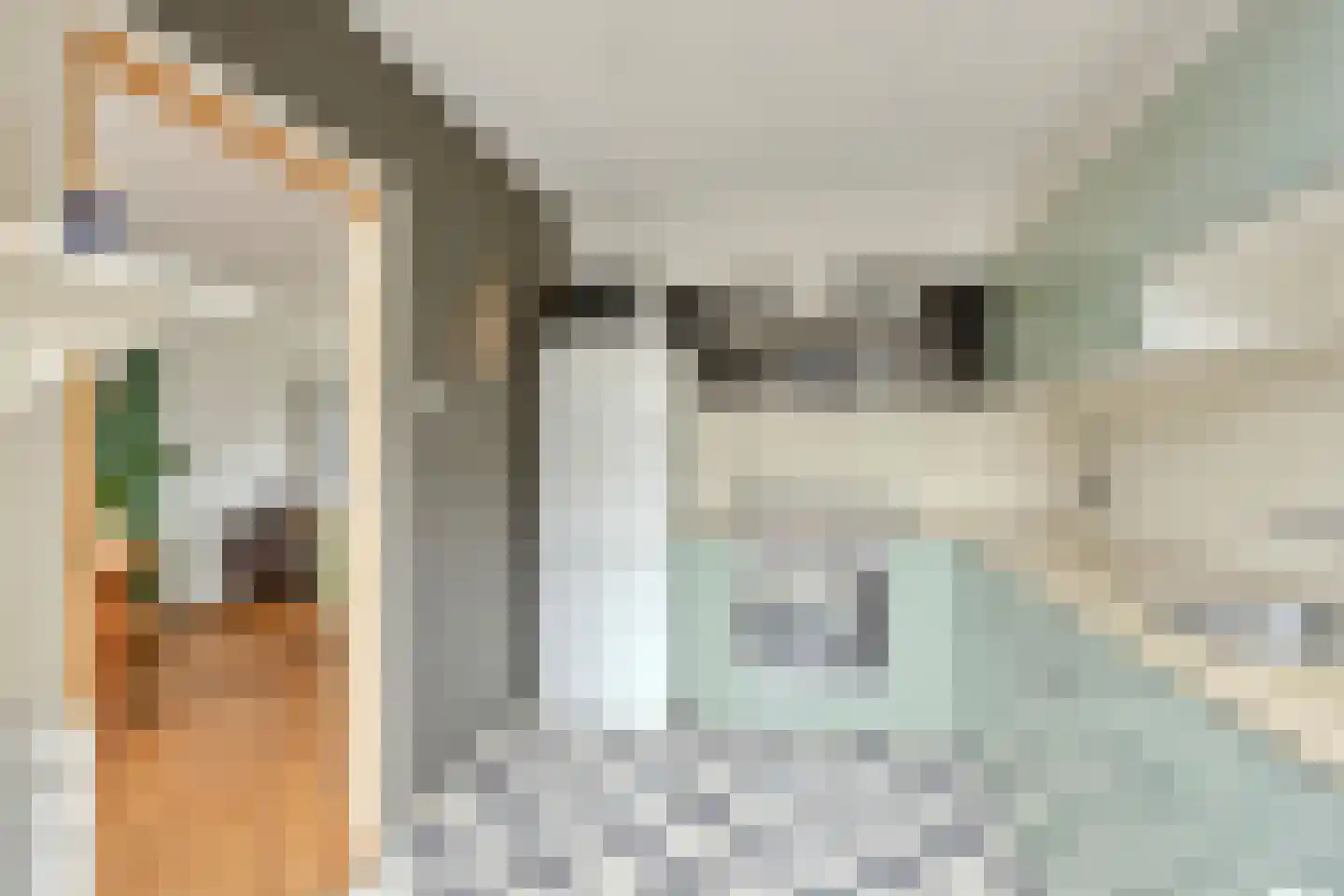 Trompstraat 8 De Meern thumbnail 16