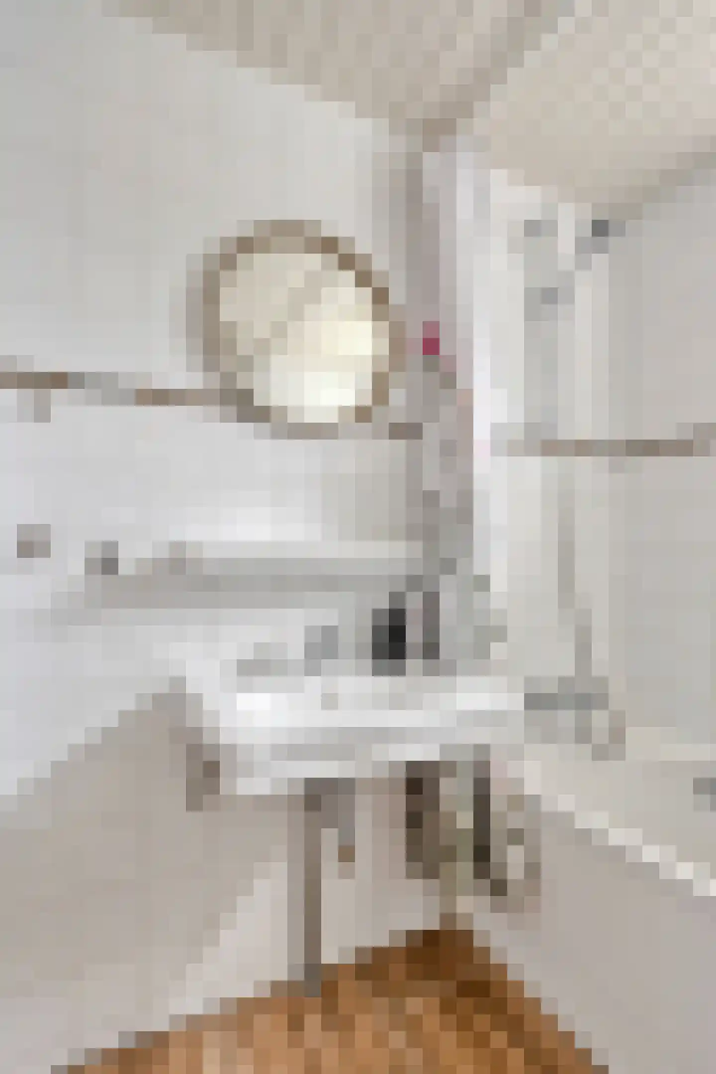 Trompstraat 8 De Meern thumbnail 27