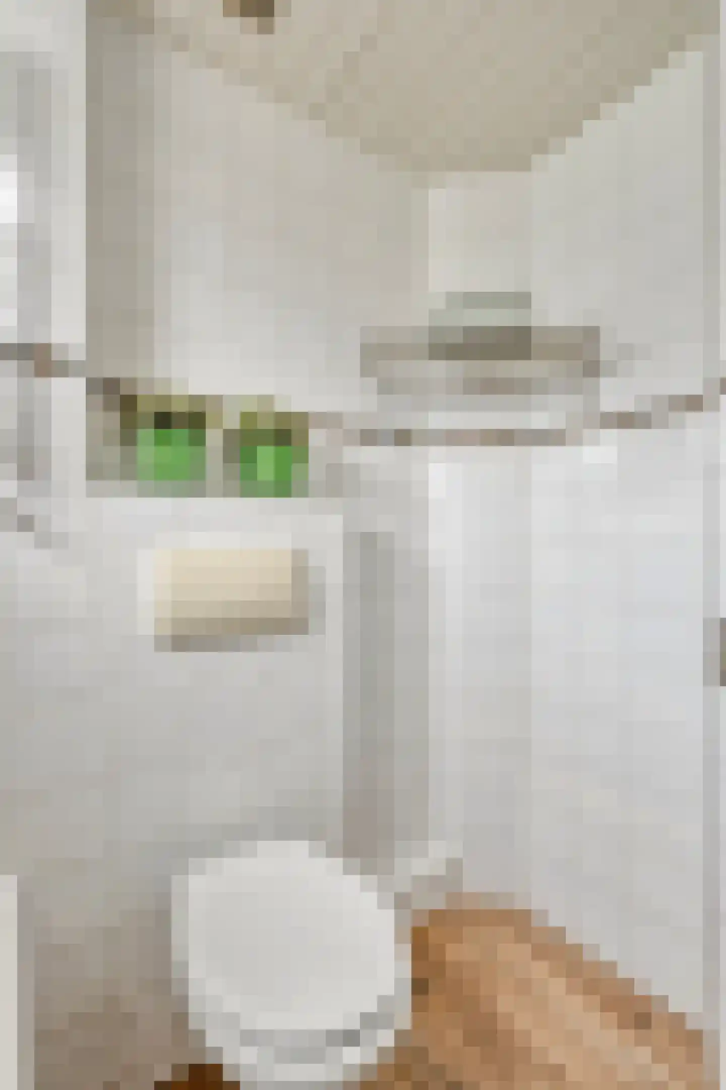 Trompstraat 8 De Meern thumbnail 28