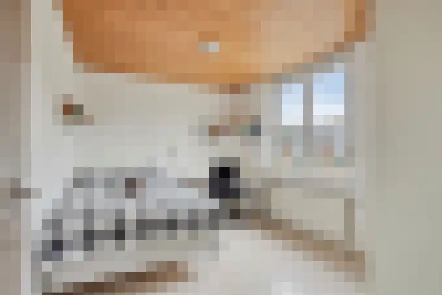 Trompstraat 8 De Meern thumbnail 29