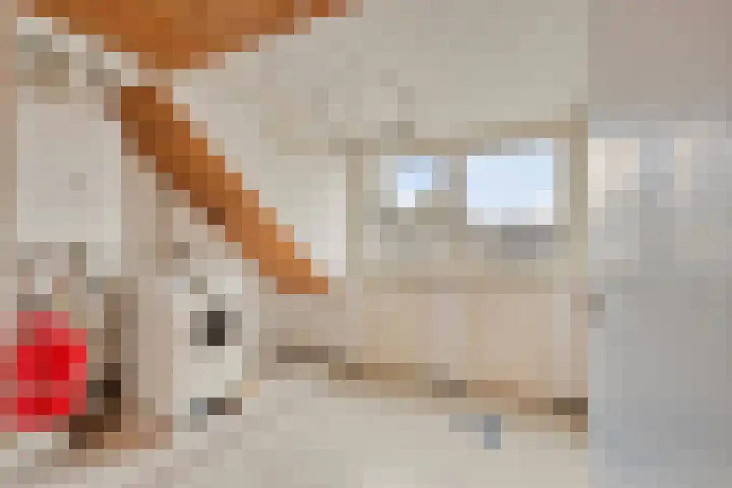 Trompstraat 8 De Meern thumbnail 35