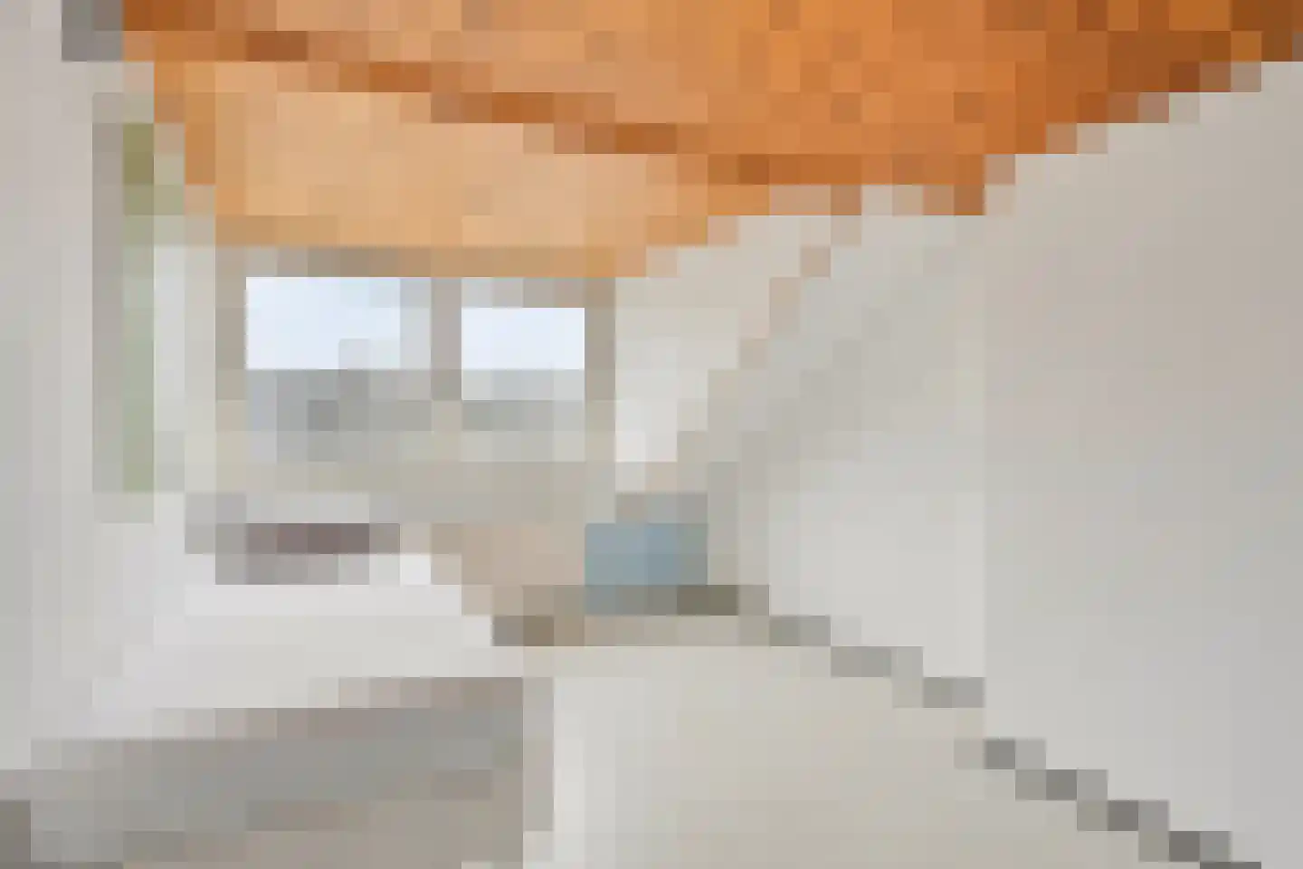 Trompstraat 8 De Meern thumbnail 37