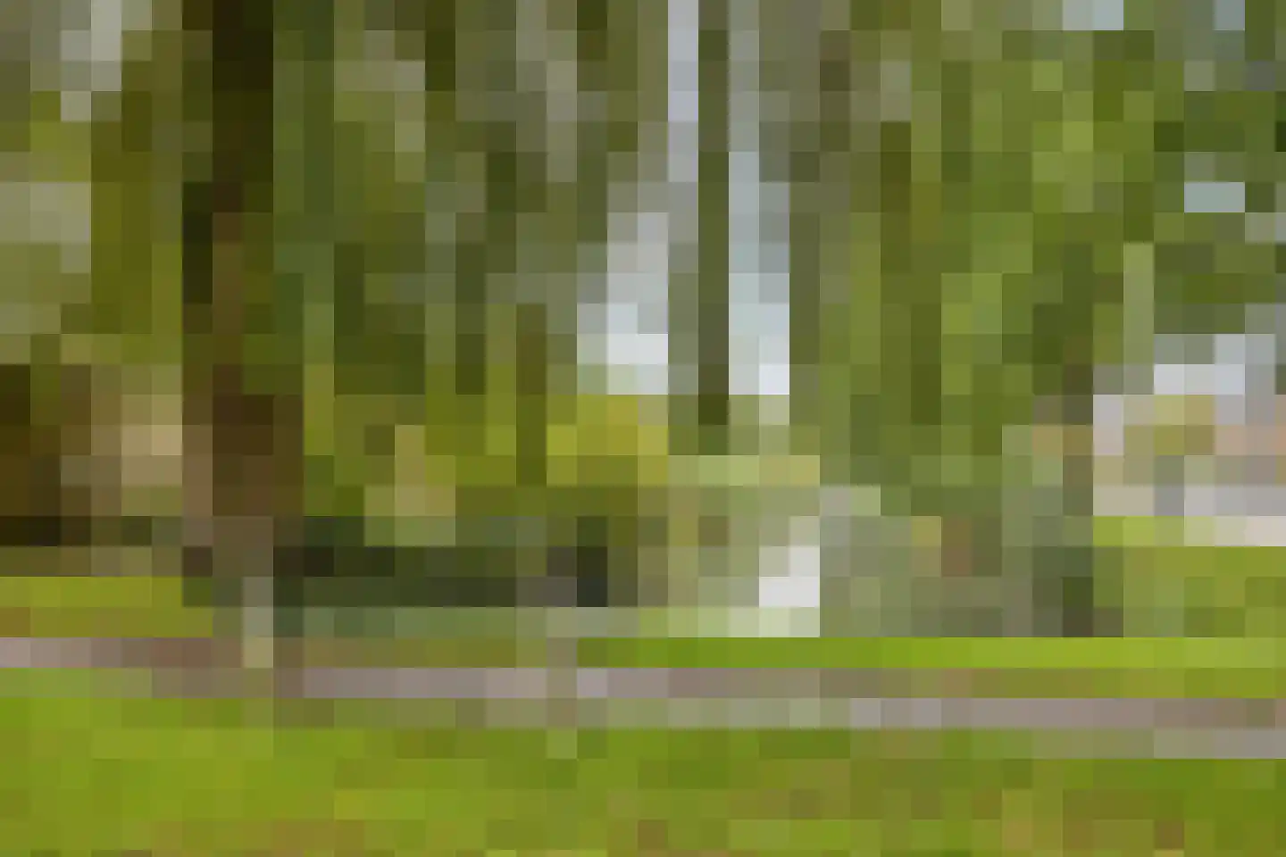 Trompstraat 8 De Meern thumbnail 44