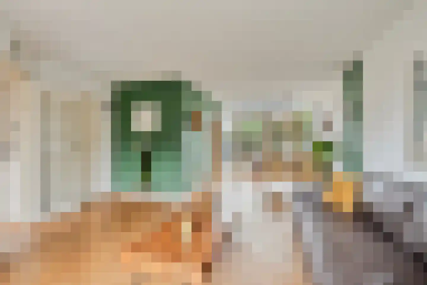 Trompstraat 8 De Meern thumbnail 9