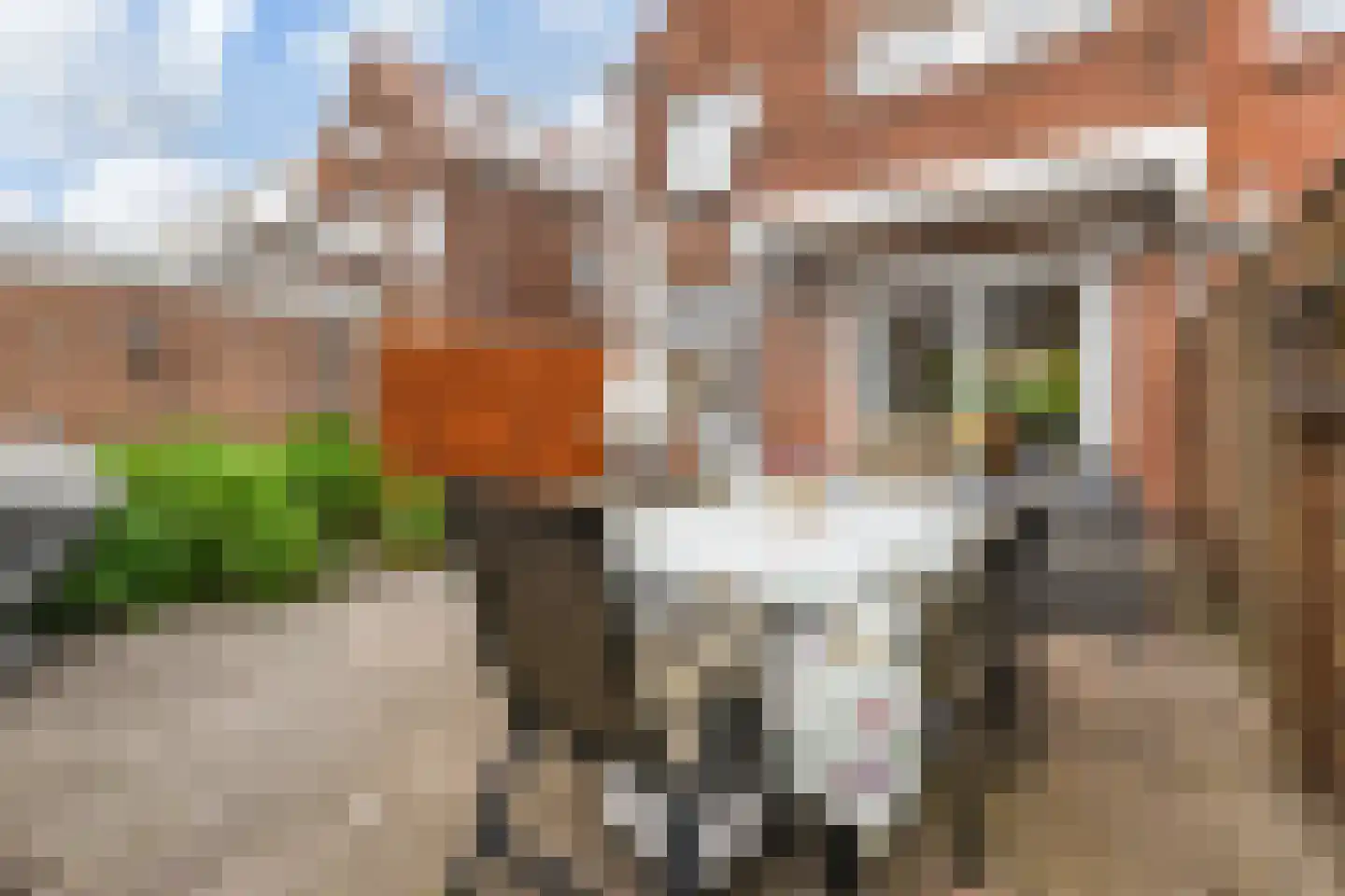 Trompstraat 82 Leidschendam thumbnail 11