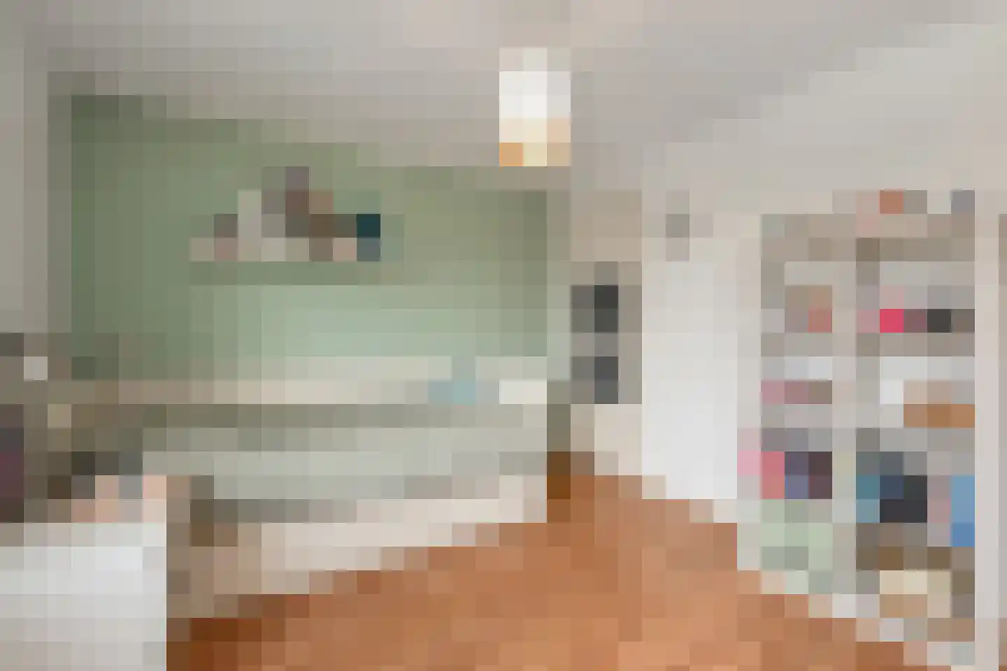 Trompstraat 82 Leidschendam thumbnail 20