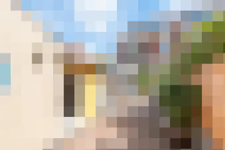 Trompstraat 85 Haarlem thumbnail 36