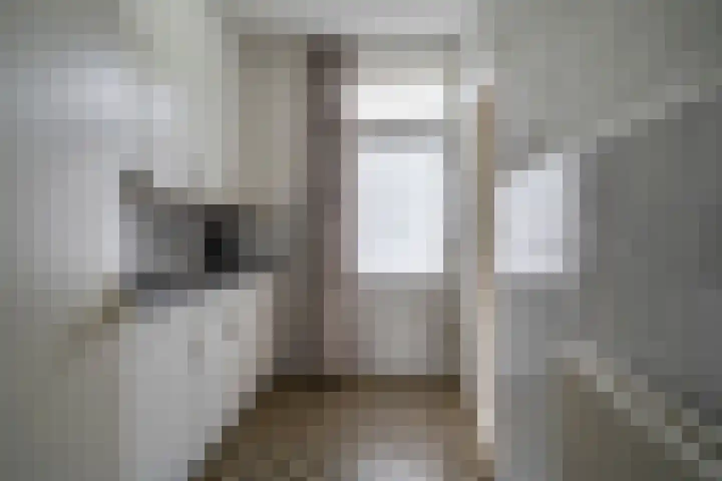 Trompstraat 85 Helmond thumbnail 5