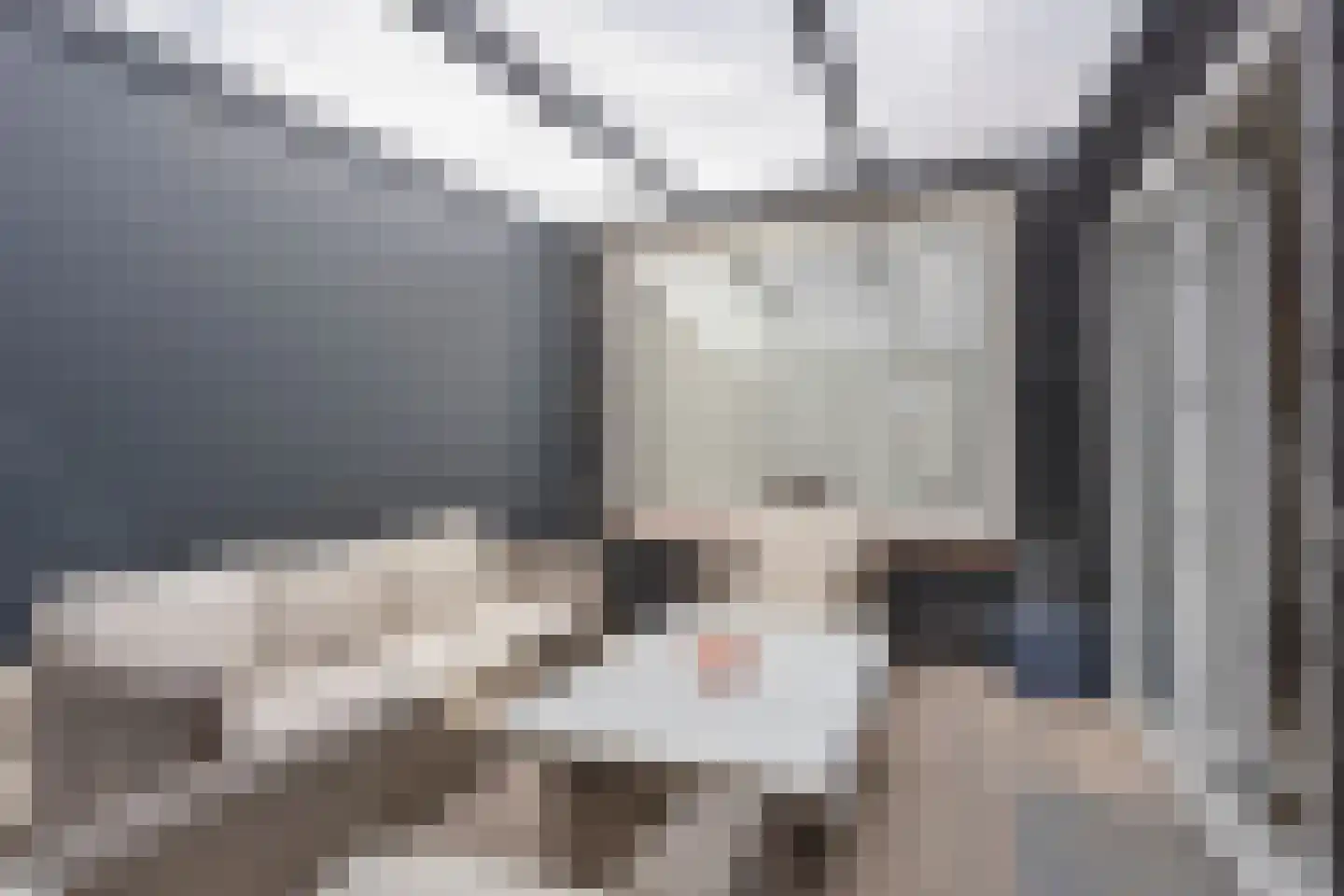 Trompstraat 87 Alkmaar thumbnail 13