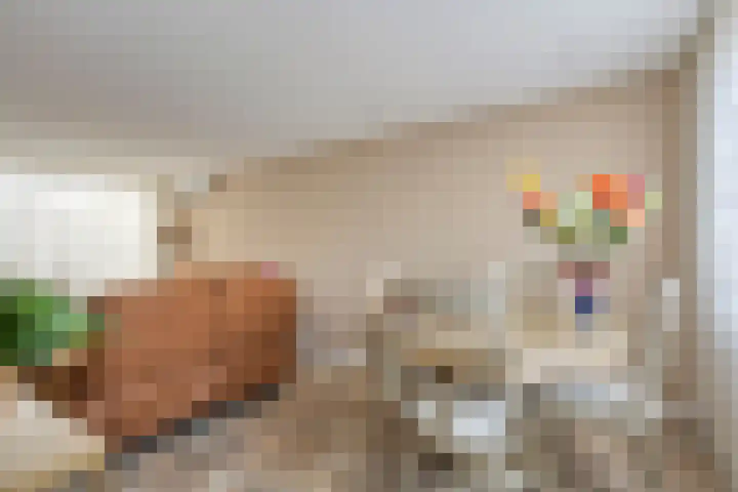 Trompstraat 87 Alkmaar thumbnail 7