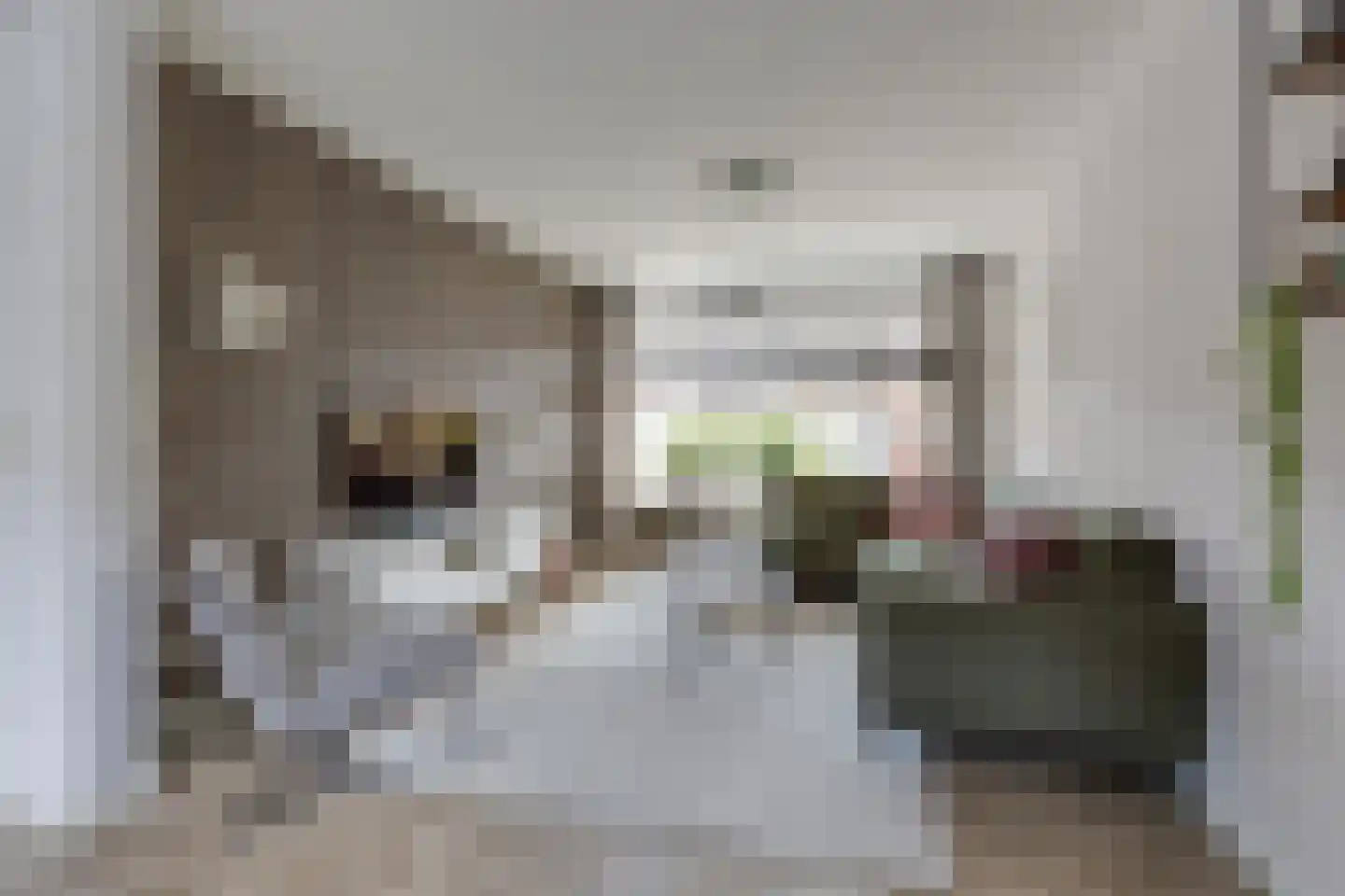 Trompstraat 9 Groenlo thumbnail 10
