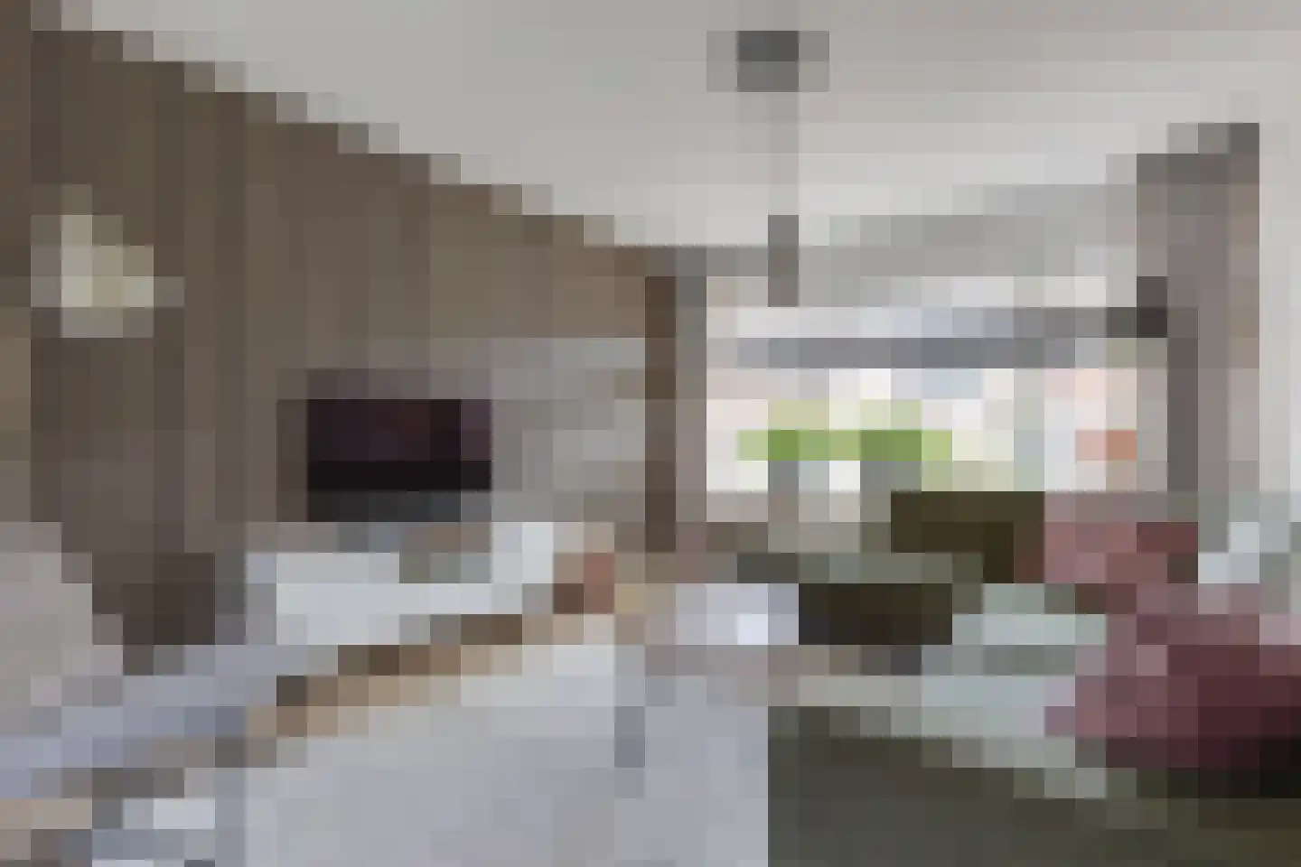 Trompstraat 9 Groenlo thumbnail 11