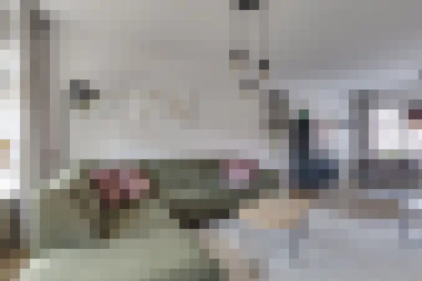 Trompstraat 9 Groenlo thumbnail 12