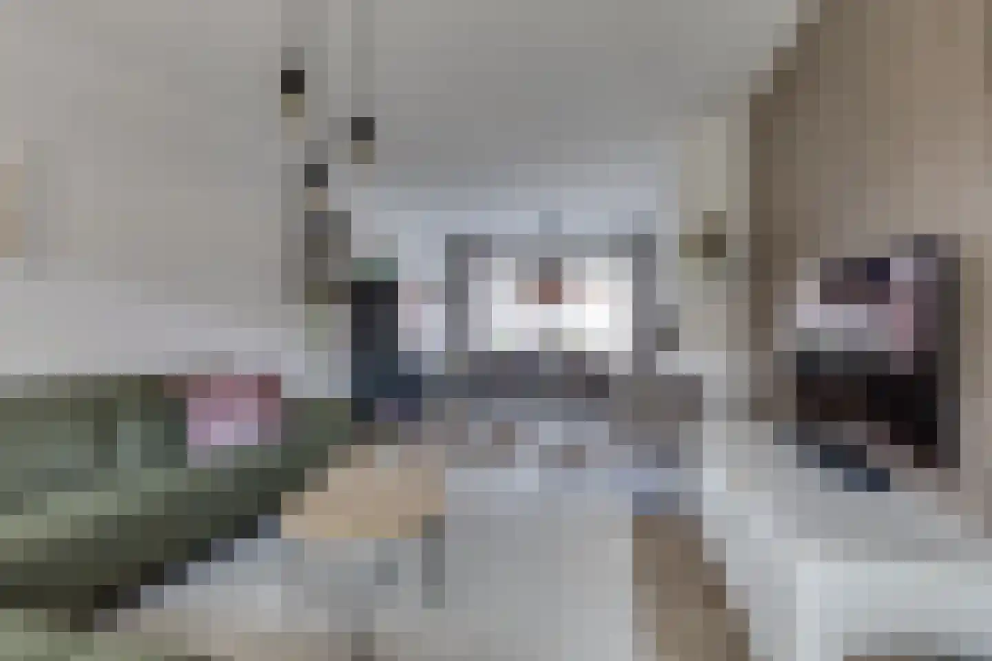 Trompstraat 9 Groenlo thumbnail 13