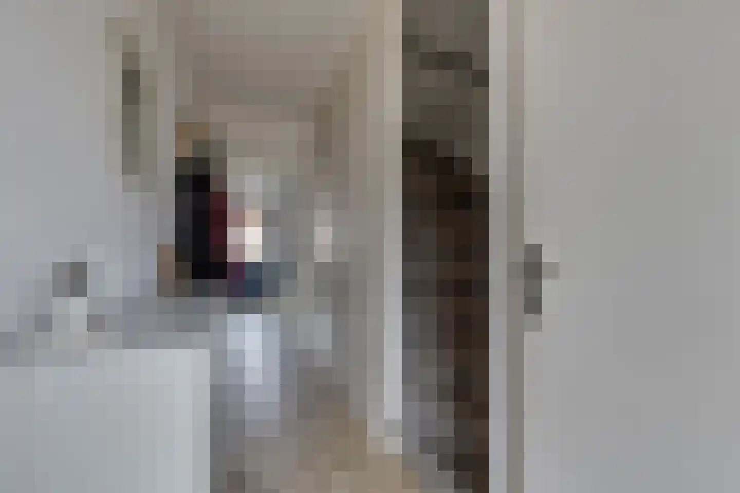 Trompstraat 9 Groenlo thumbnail 23