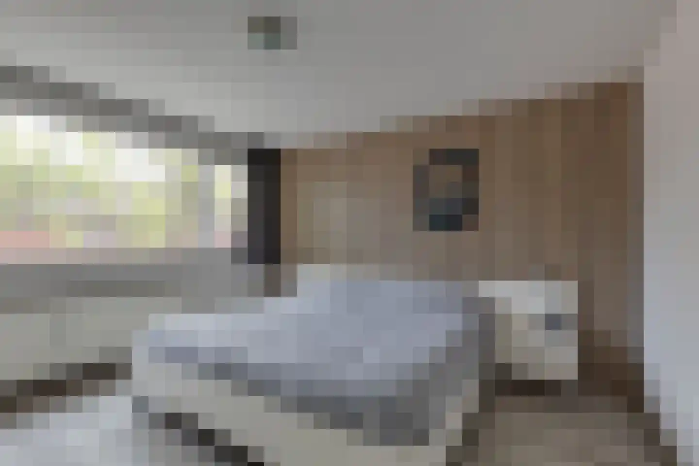 Trompstraat 9 Groenlo thumbnail 27