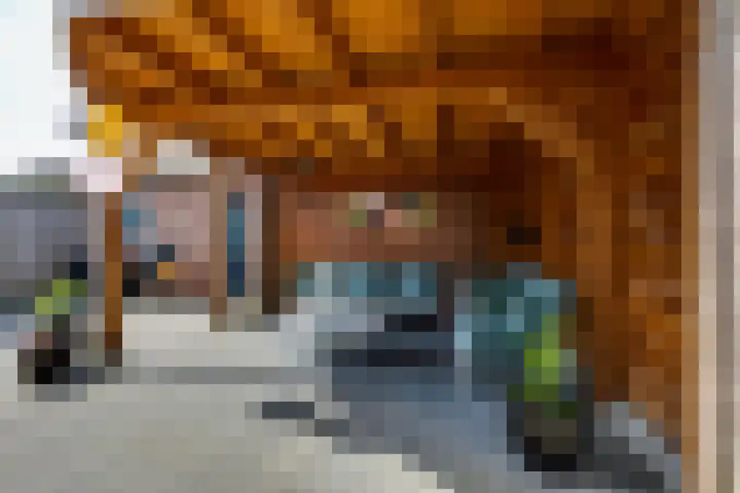 Trompstraat 9 Groenlo thumbnail 46