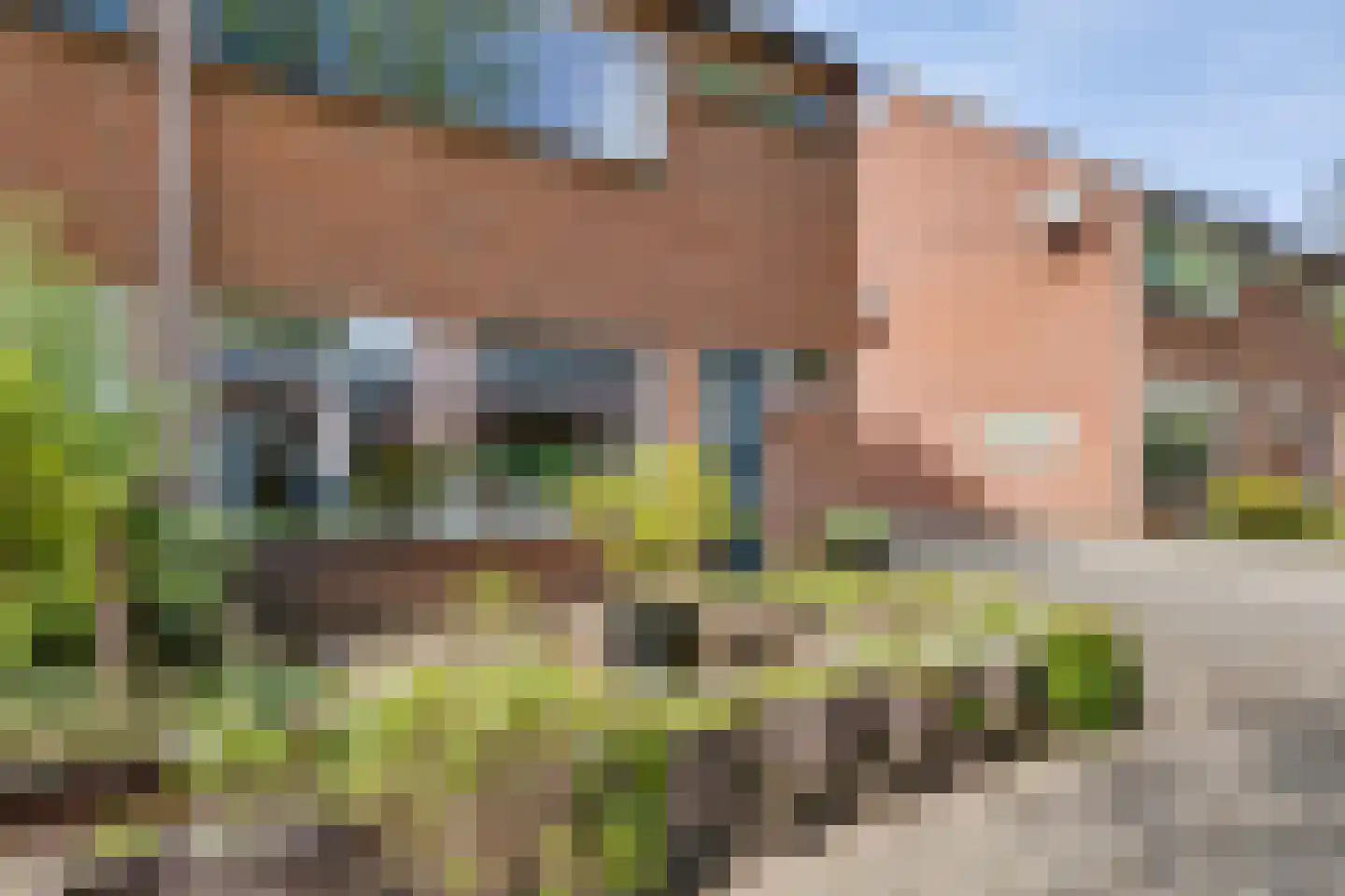 Trompstraat 9 Groenlo thumbnail 5