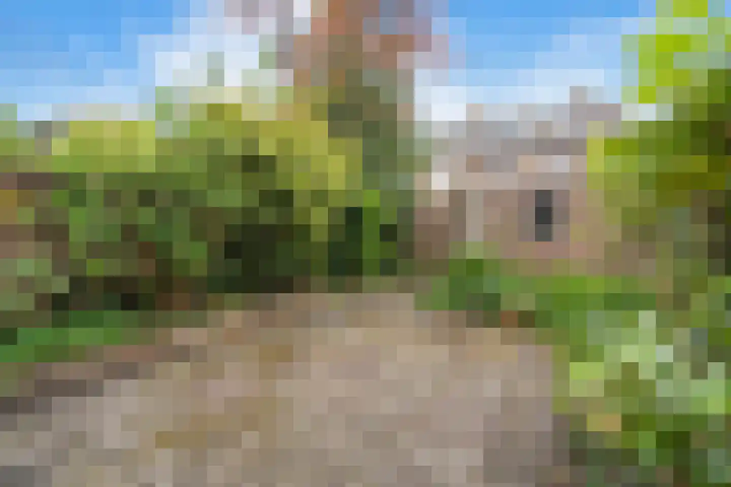 Trompstraat 9 Heemskerk thumbnail 13