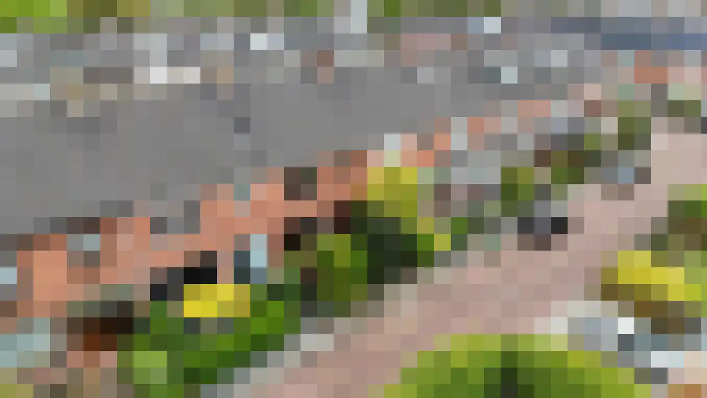 Trompstraat 9 Heemskerk thumbnail 21