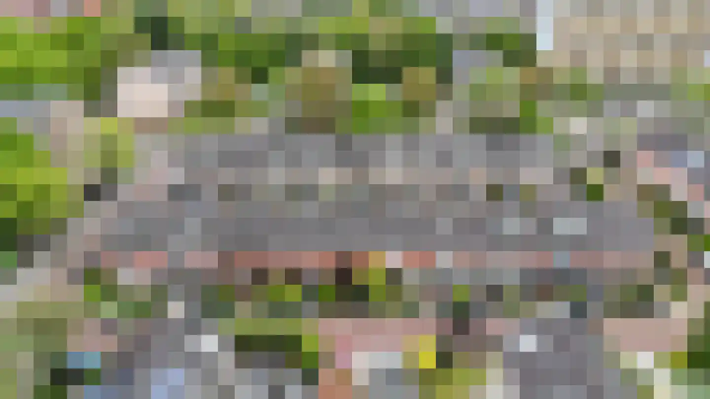 Trompstraat 9 Heemskerk thumbnail 23