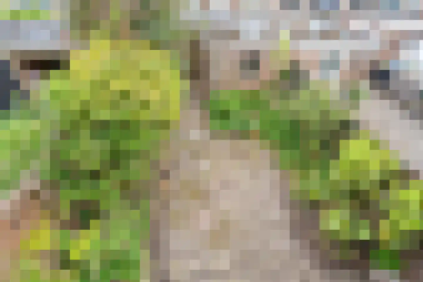 Trompstraat 9 Heemskerk thumbnail 36