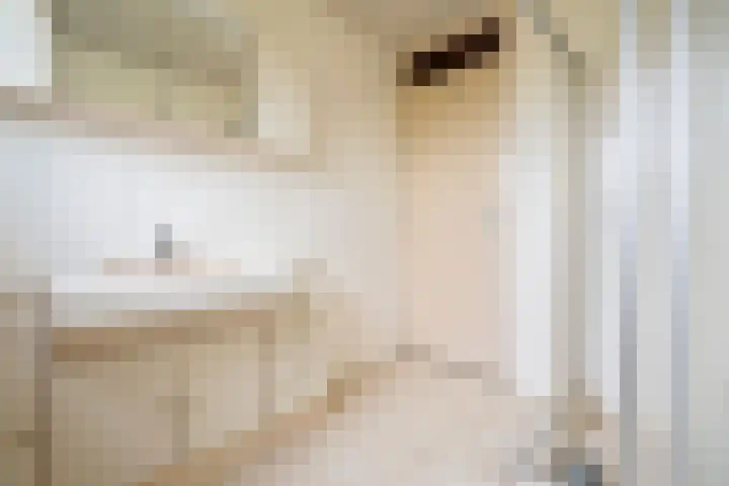 Trompstraat 9 Heemskerk thumbnail 42