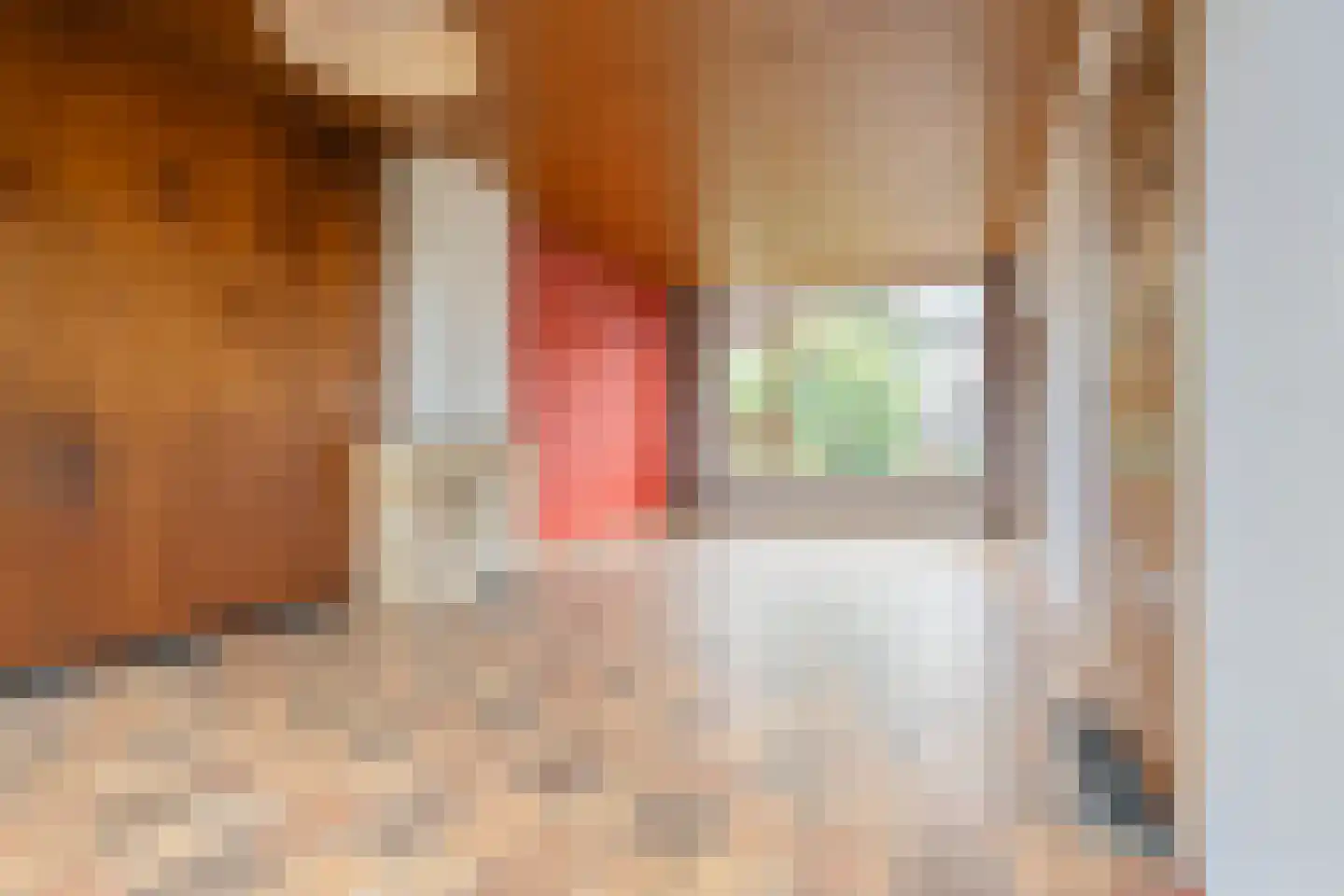 Trompstraat 9 Heemskerk thumbnail 5