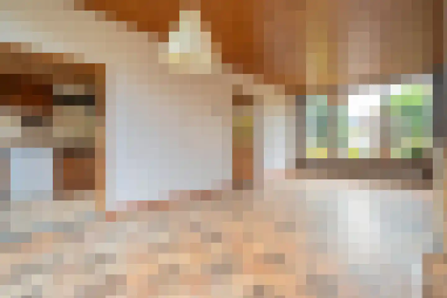Trompstraat 9 Heemskerk thumbnail 9