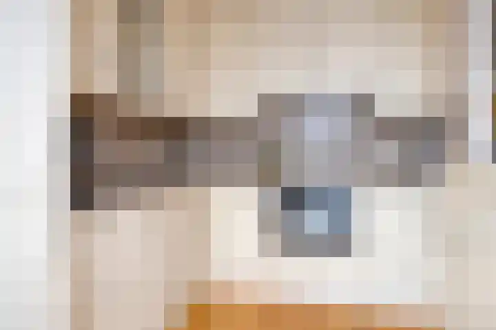 Trompstraat 9 Kloosterzande thumbnail 12