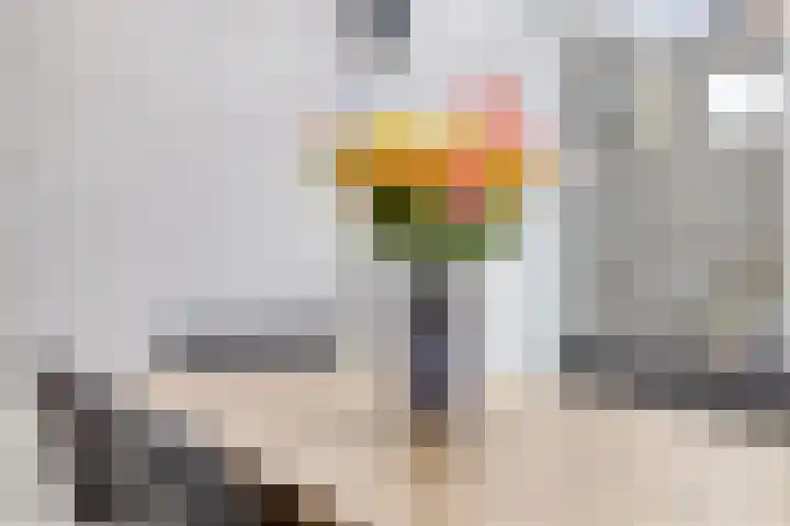 Trompstraat 9 Kloosterzande thumbnail 14