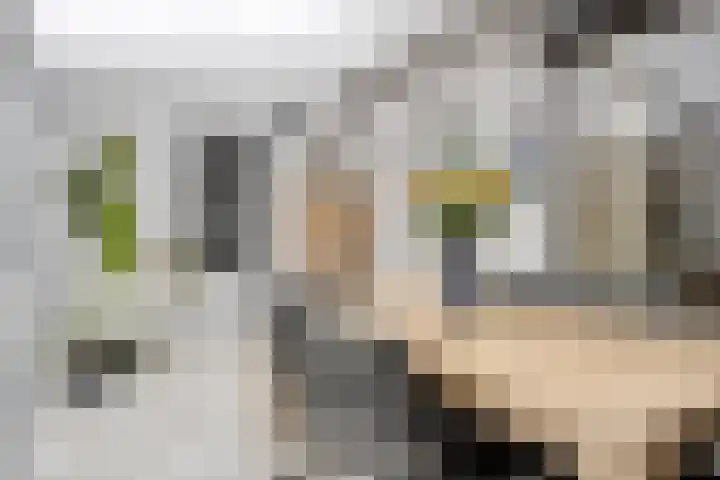 Trompstraat 9 Kloosterzande thumbnail 16