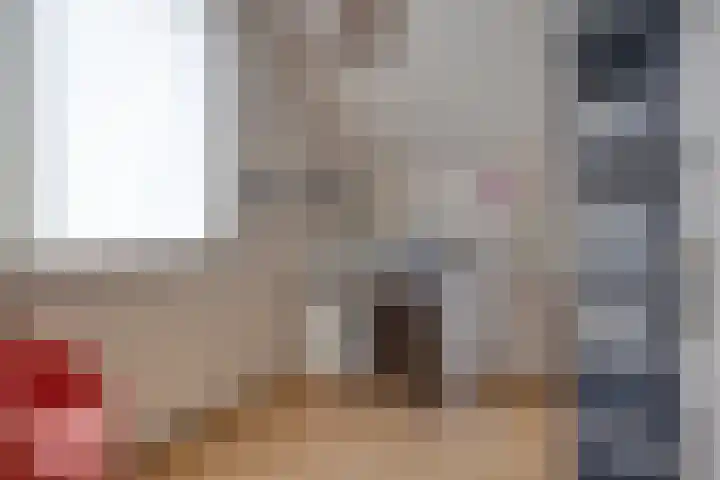 Trompstraat 9 Kloosterzande thumbnail 26